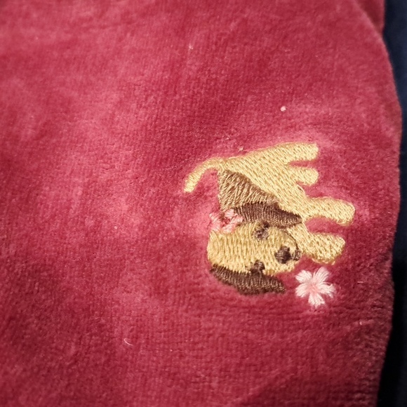 Gymboree velour hoodie Primrose Line 6-12 months - Picture 4 of 4